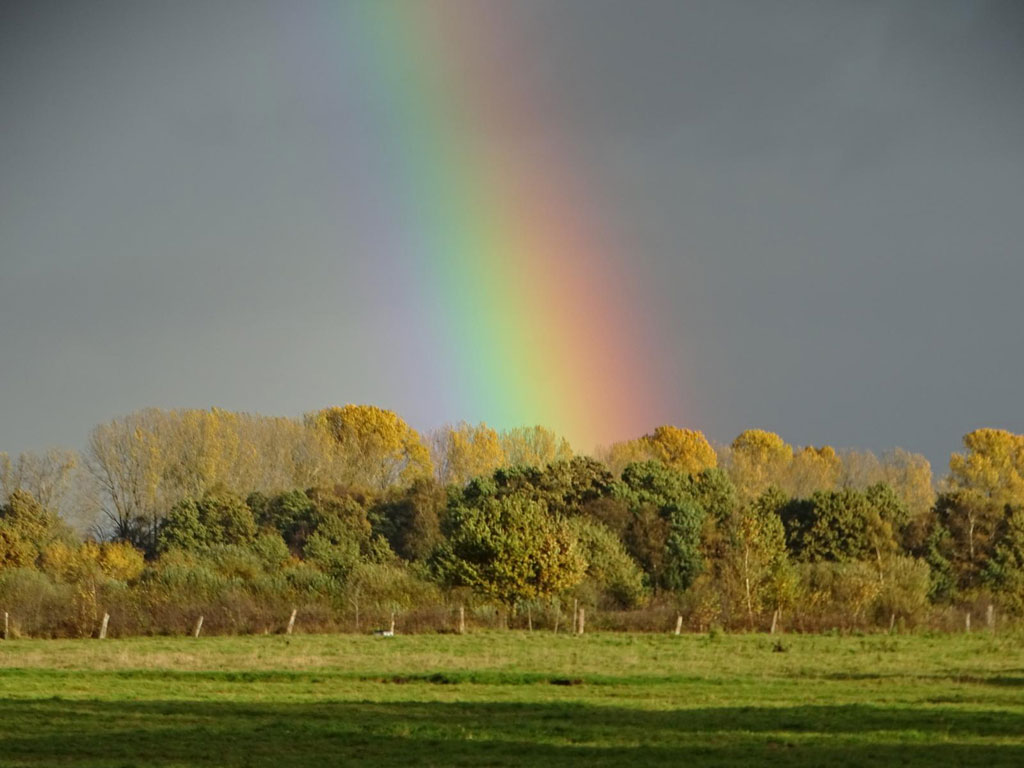 Herbstlicher Regenbogen D mmer Natur Blog